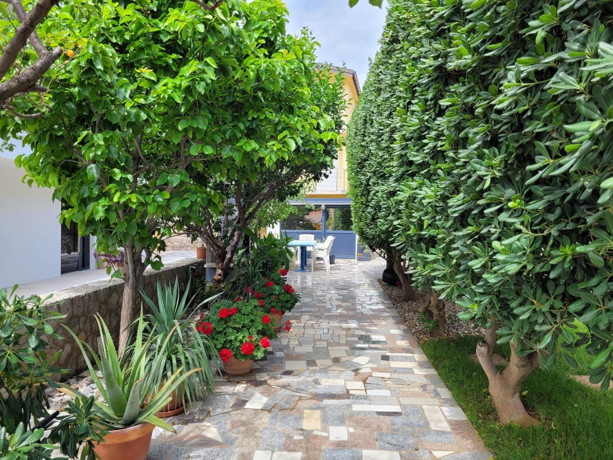 Apartment Jelena فير المظهر الخارجي الصورة