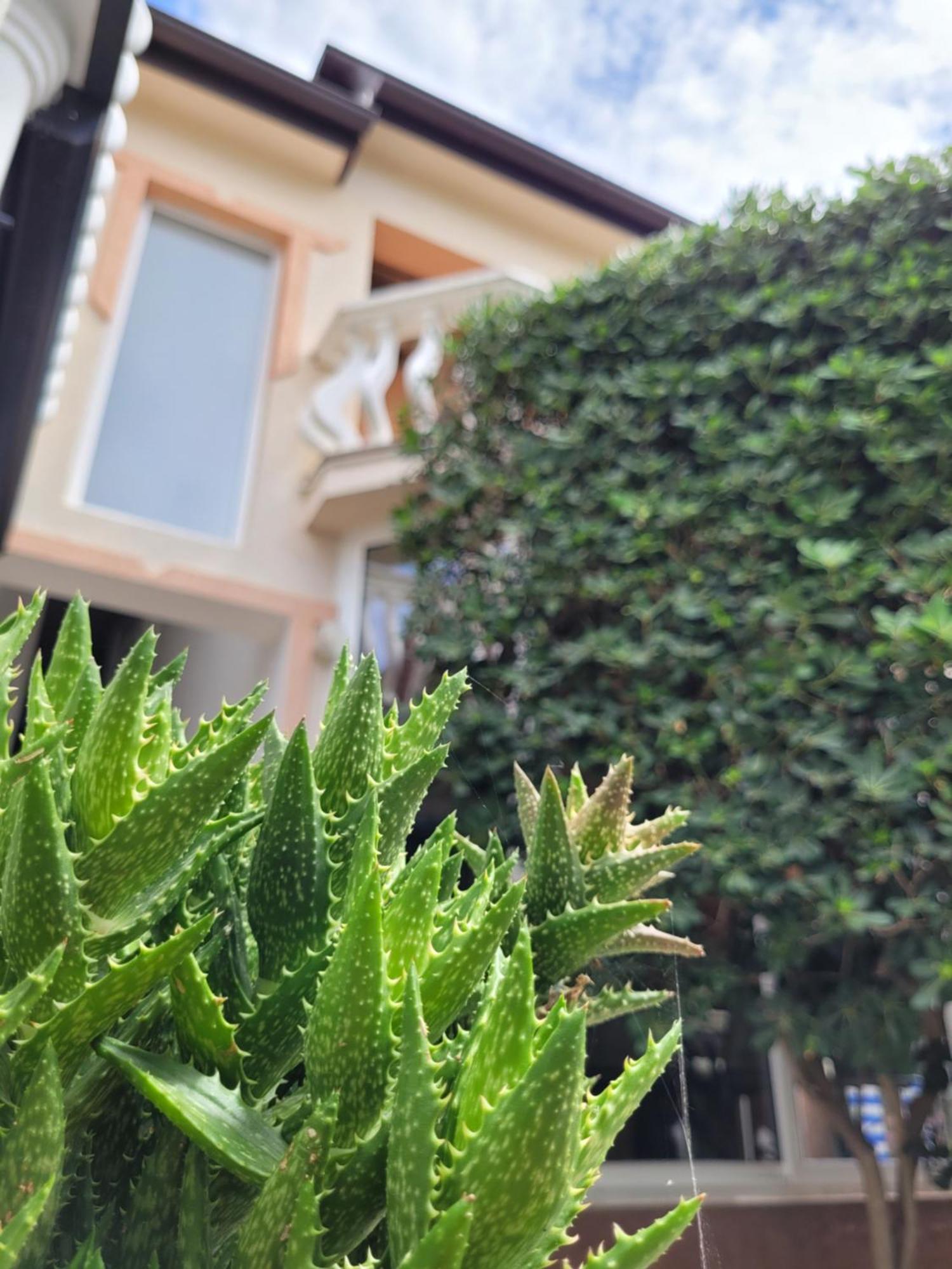 Apartment Jelena فير المظهر الخارجي الصورة